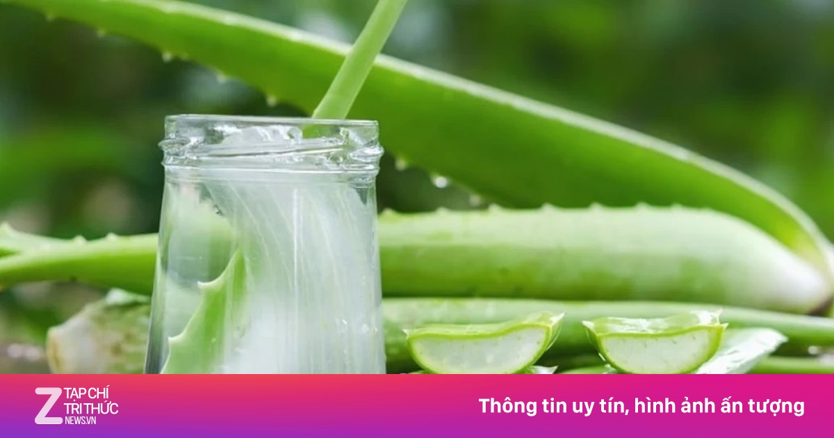 Loại lá có tác dụng phục hồi tóc hư tổn chỉ sau vài lần gội đầu