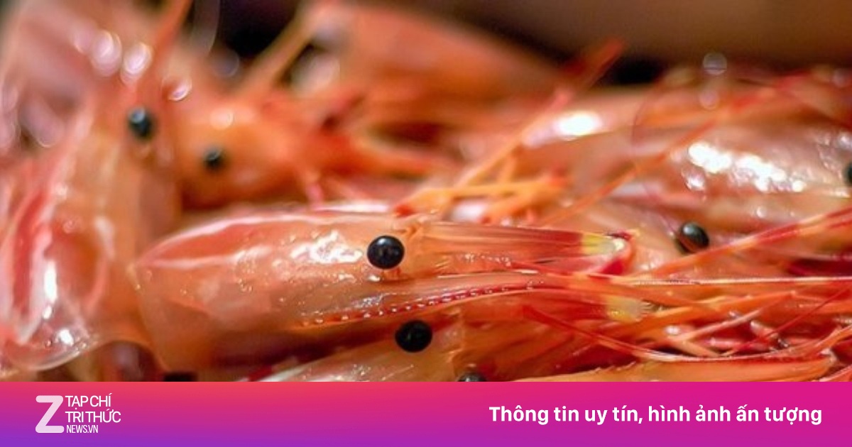 Bộ phận rất bẩn của tôm, ngon mấy cũng nên tránh ăn