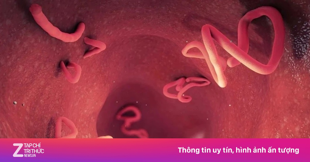 Điều Gì Thực Sự Xảy Ra Trong Cơ Thể Sau Khi Uống Thuốc Xổ Giun?