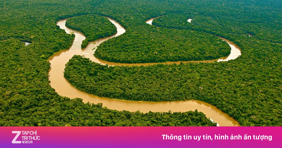 Tại sao không có cây cầu nào bắc qua sông Amazon?