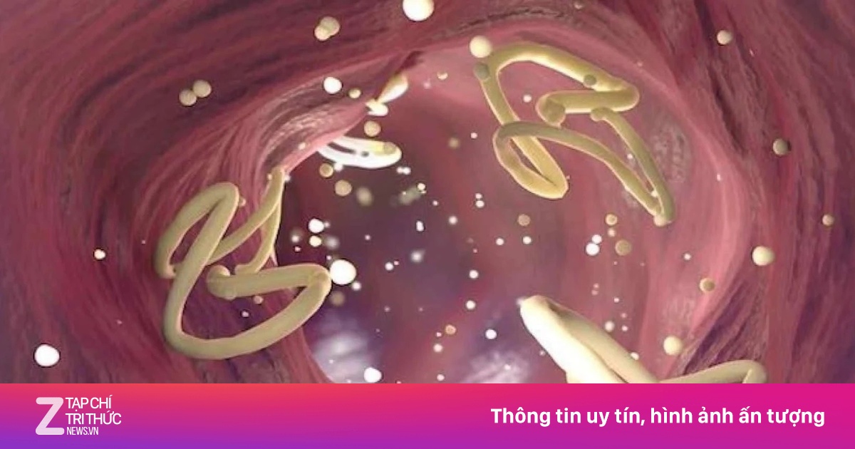 Tẩy giun định kỳ: Bảo vệ sức khỏe toàn diện cho cả gia đình
