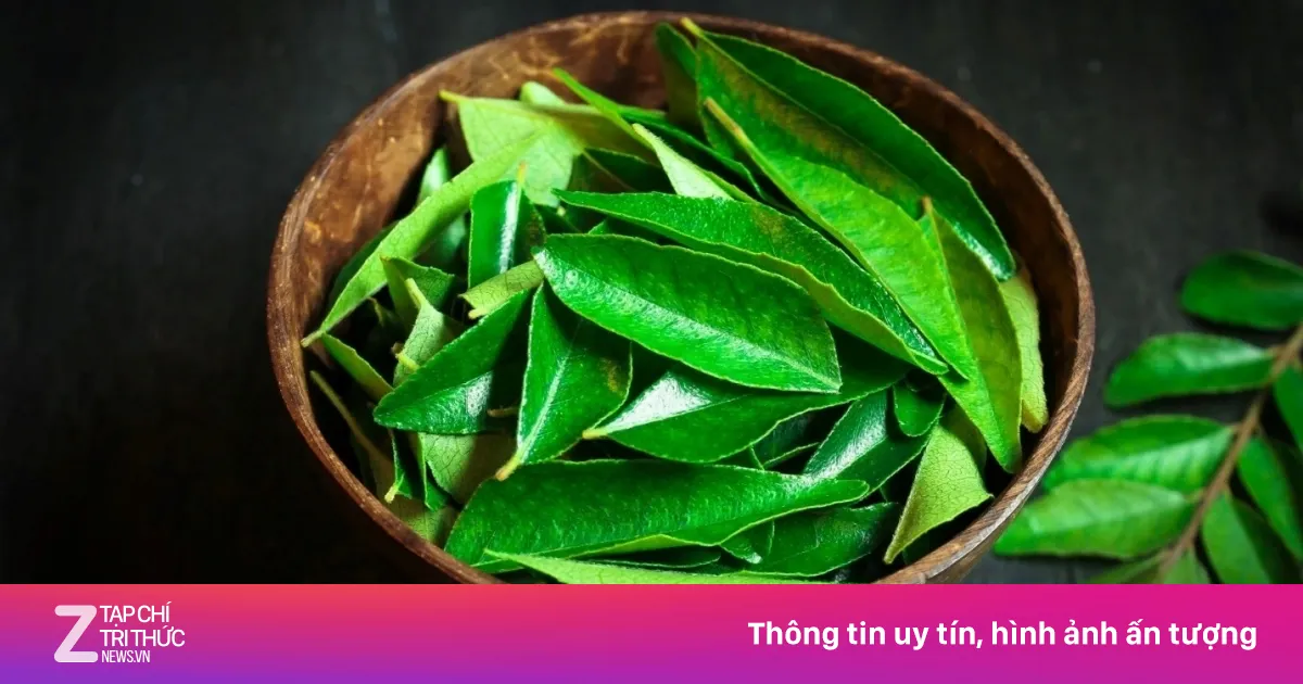 Loại lá thơm phức làm gia vị, là siêu dinh dưỡng không kém thuốc bổ