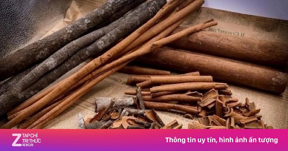 Loại vỏ cây thơm lừng, phơi khô thành 'thuốc quý' chợ Việt có nhiều