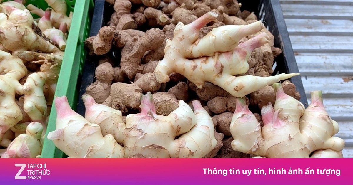 Loại củ 'cực phẩm' của người Việt, bổ dưỡng nhưng giá rẻ bất ngờ
