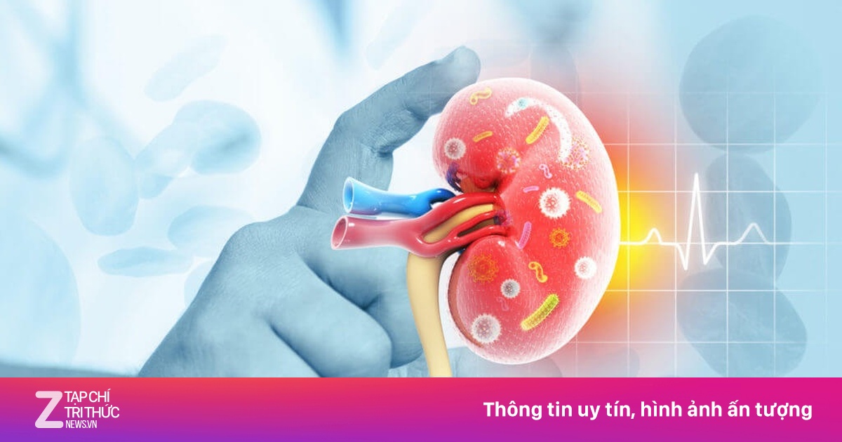 5 cách tự nhiên để bảo vệ thận, tránh suy thận mùa nắng nóng