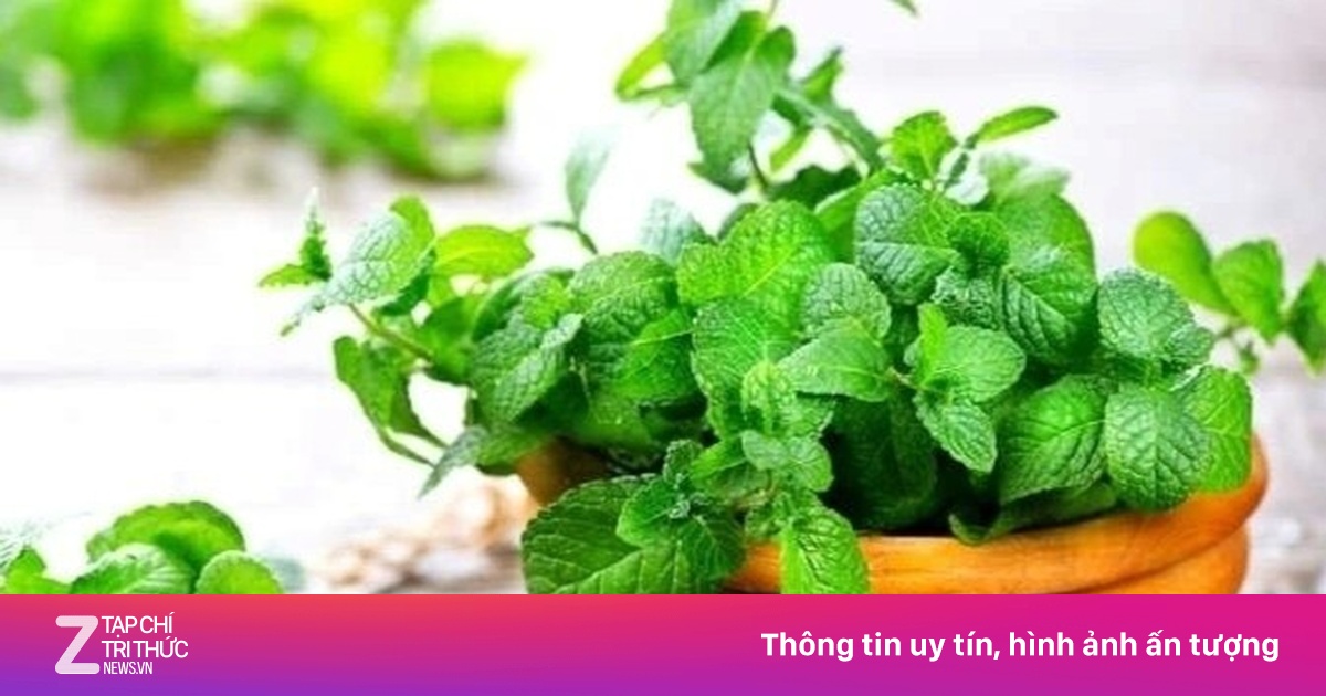 Cây thuốc đa năng ở chợ Việt nhưng không phải ai cũng biết tận dụng