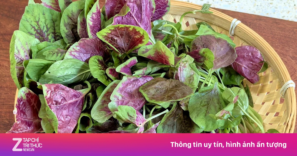 Việt Nam có rau dân dã nấu canh ngọt lịm, canxi gấp 10 lần thịt bò