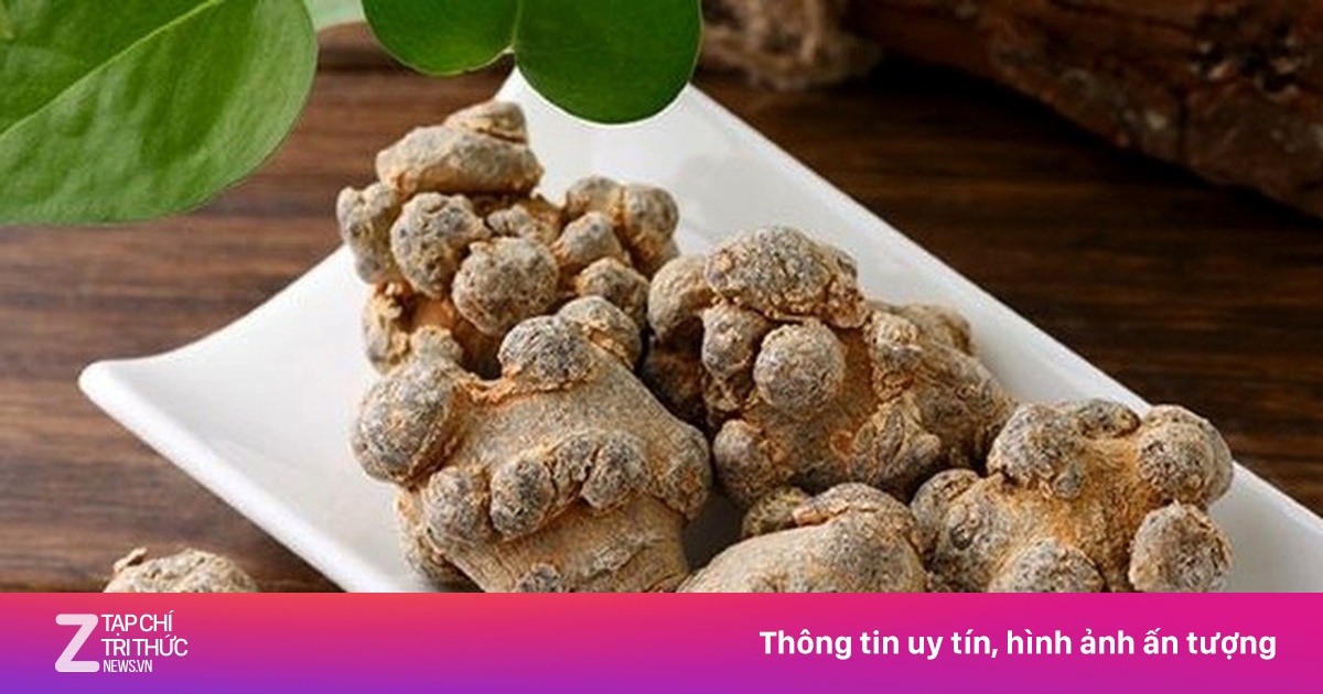 Tam Thất: 'Bảo Bối' Dưỡng Sinh Giúp Tăng Cường Tuổi Thọ Và Bảo Vệ Sức Khỏe Toàn Diện