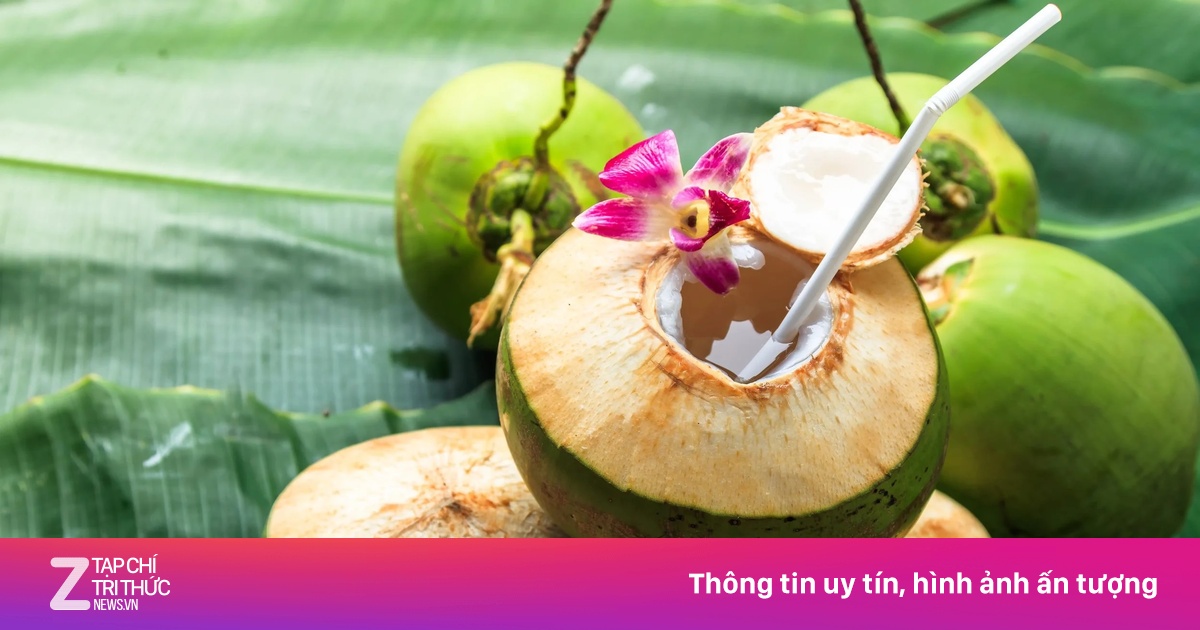 Uống nước dừa mỗi ngày: Thận thay đổi ra sao và những lưu ý quan trọng