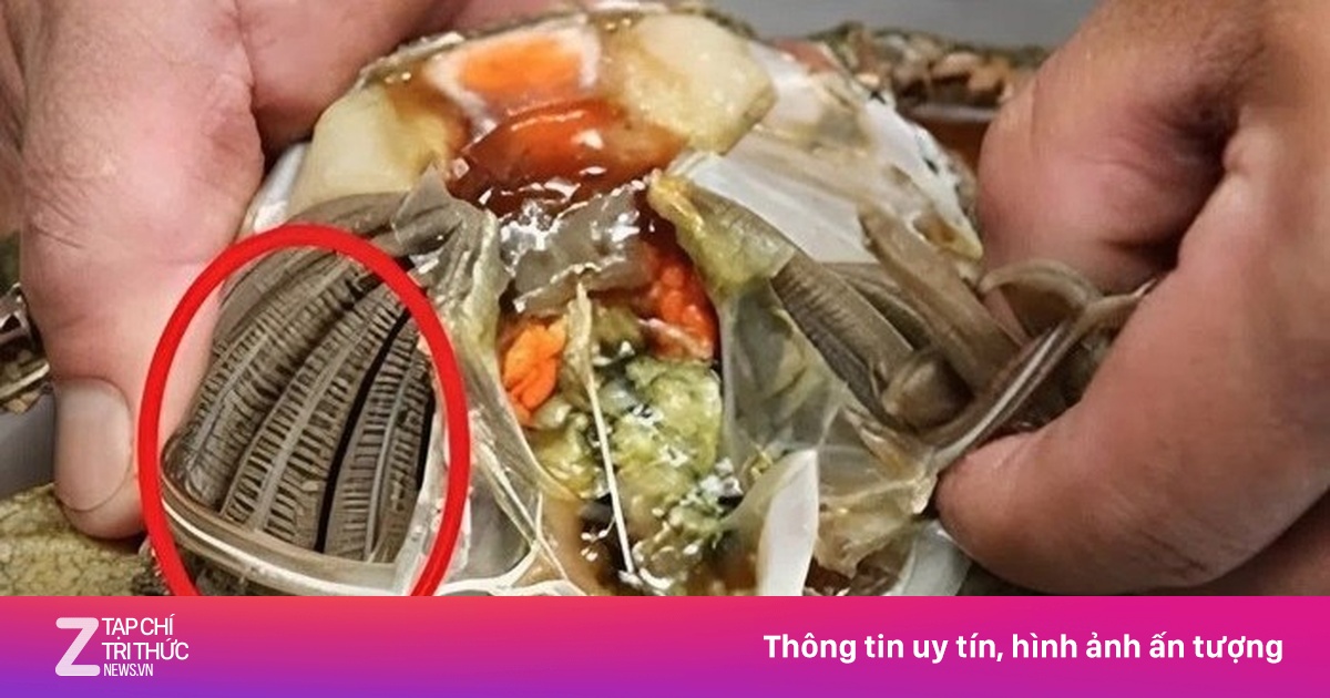 Mang cua - 'Ổ vi khuẩn' tiềm ẩn nguy cơ sức khỏe cần loại bỏ khi chế biến