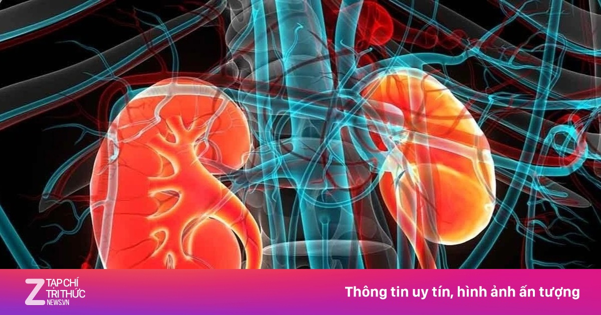 Nguyên nhân hàng đầu dẫn đến suy thận