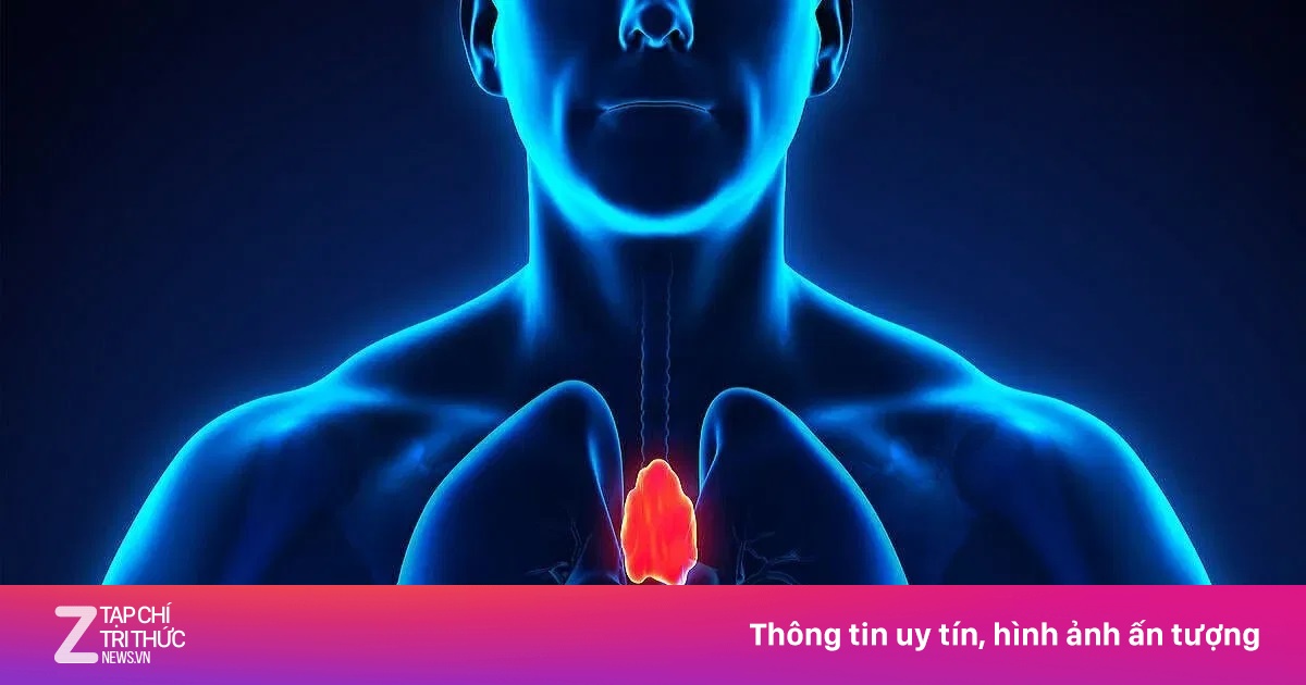 Cơ quan bí ẩn nhất của cơ thể từng bị xem là vô dụng