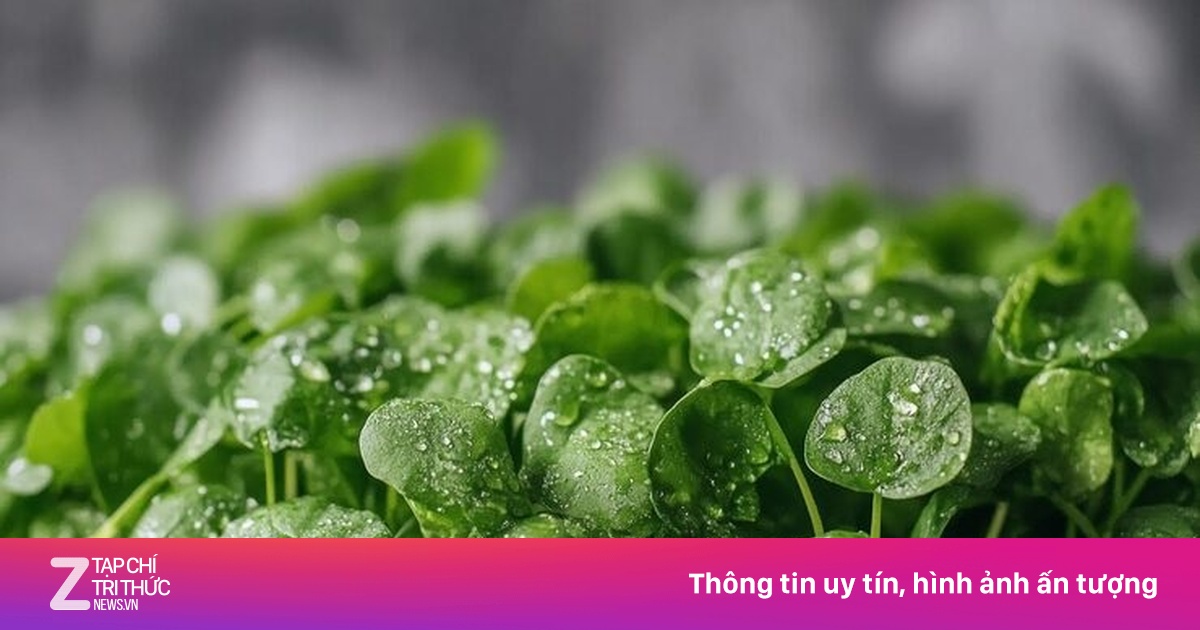 Loại rau tốt nhất thế giới