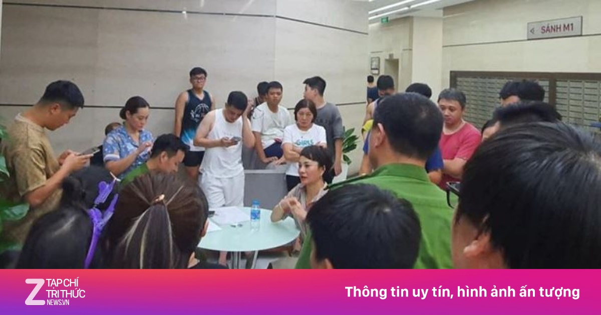 znews.vn