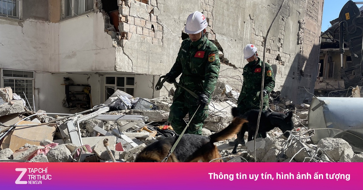Quân đội VN cử gần 80 chiến sĩ cùng chó nghiệp vụ cứu trợ tại Myanmar