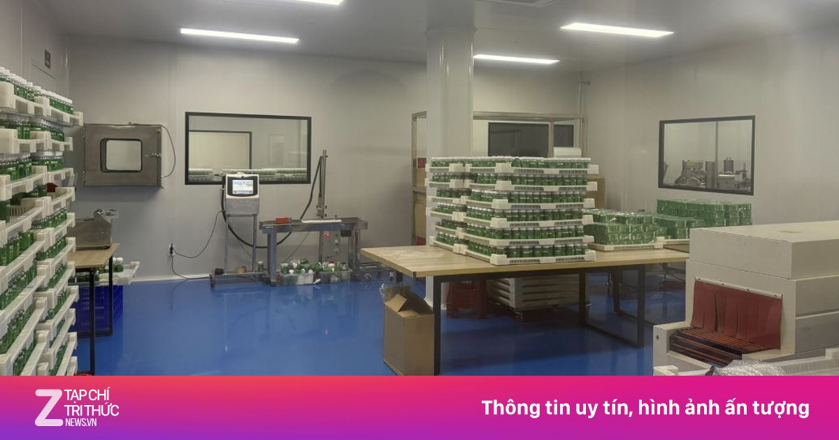 Bên trong nhà máy sản xuất kẹo rau củ khiến Quang Linh Vlogs bị bắt