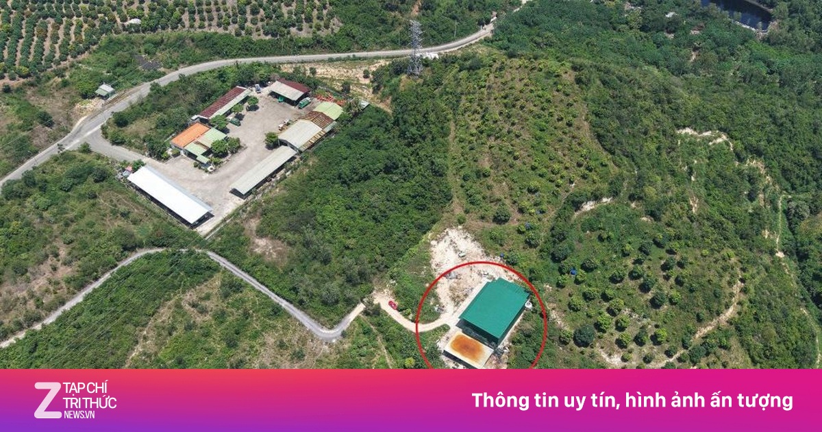 Nha Trang xử lý vụ cho thuê đất rừng lập xưởng sản xuất ma túy ketamin