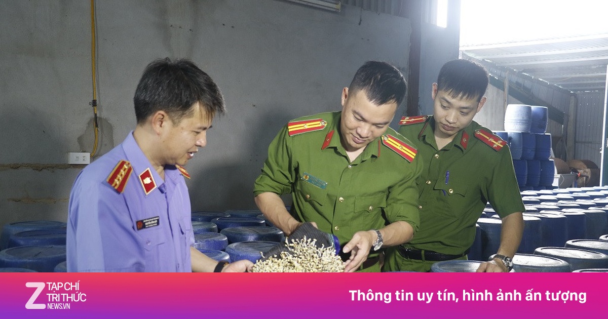 Rợn người quy trình tăng trọng 3.500 tấn giá đỗ bằng 'nước kẹo'