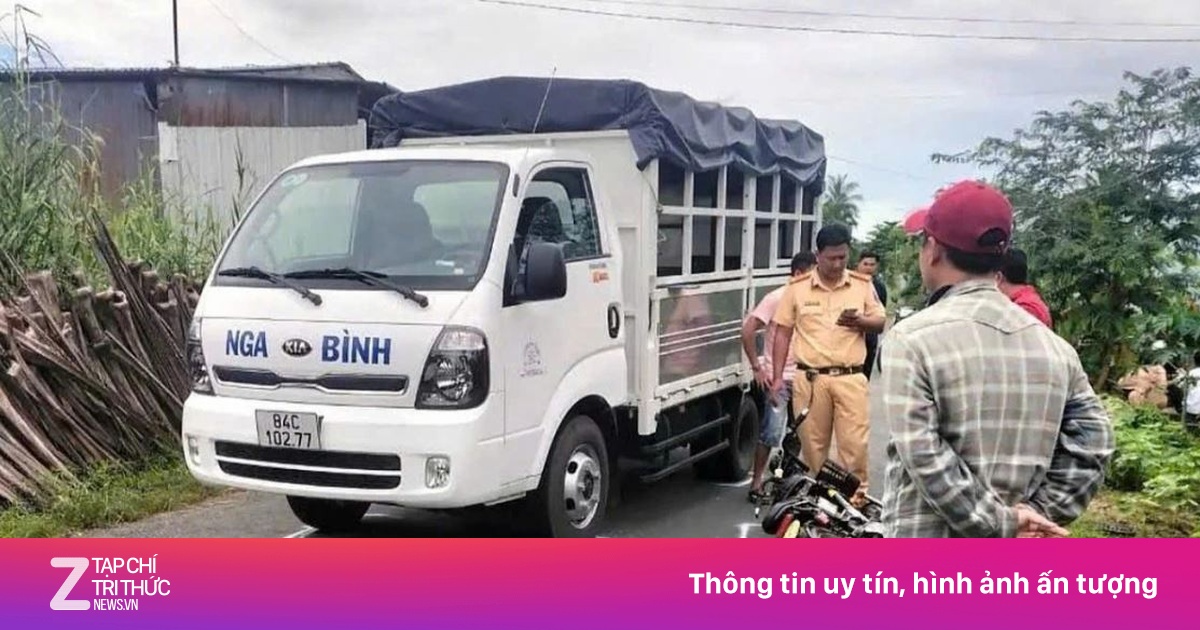znews.vn