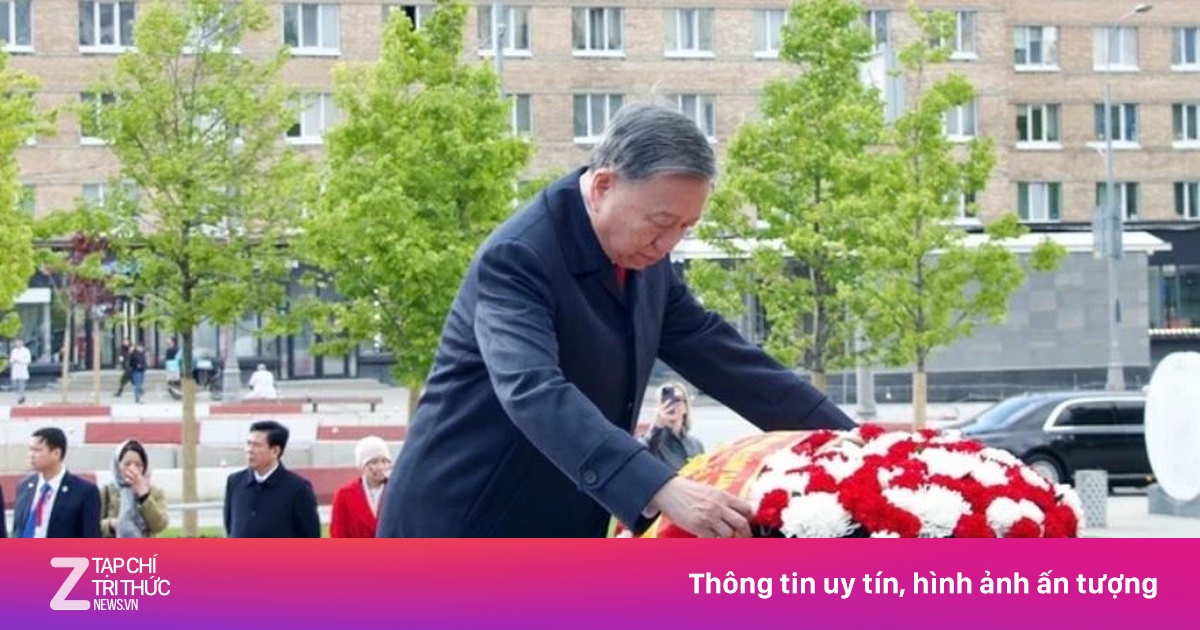 znews.vn