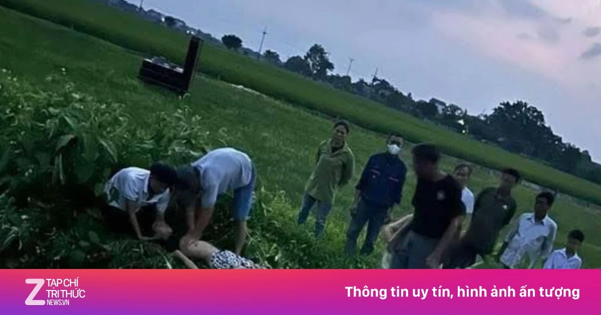 Ba học sinh ở Hà Nội bị điện giật khi gỡ diều, một em tử vong
