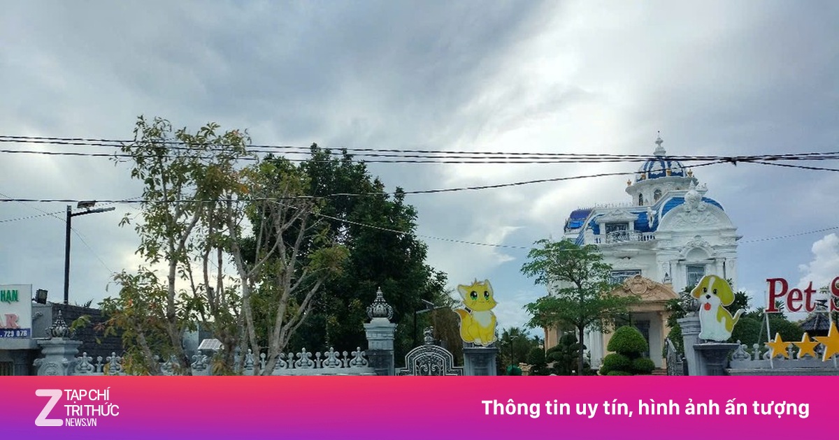 Ông chủ tòa nhà đẹp nhất Cà Mau vẫn nợ thuế 8,3 tỷ đồng