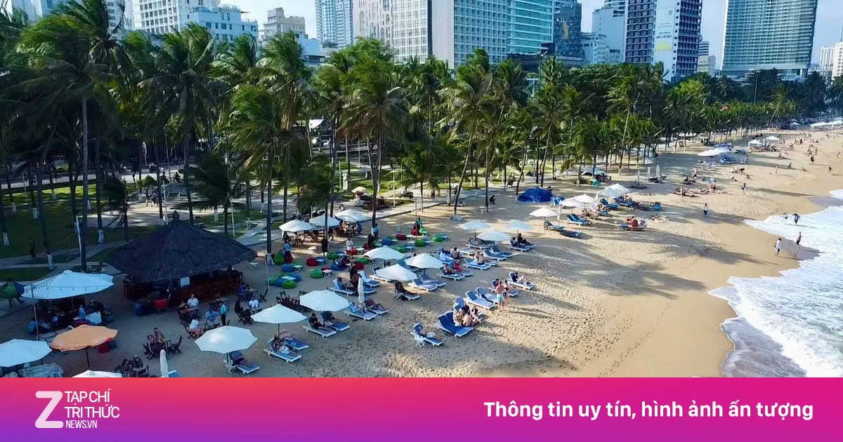 Nhiều người bị sứa lửa 'tấn công' khi tắm biển Nha Trang