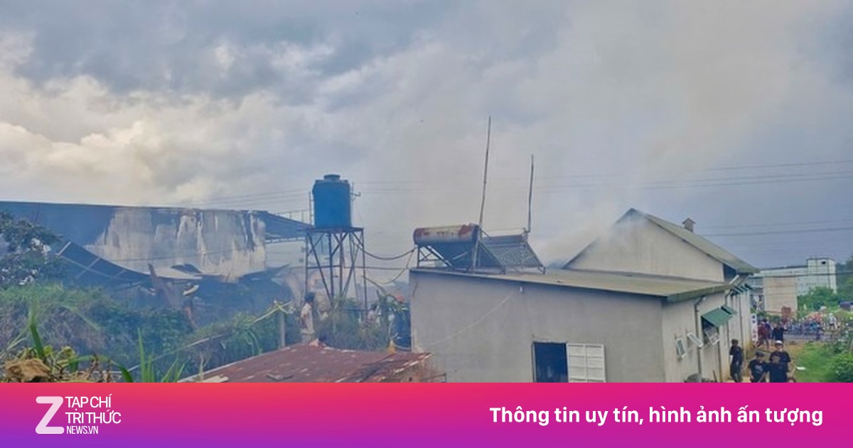 Cháy xưởng điêu khắc gỗ ở Lâm Đồng, hàng tỷ đồng hóa tro than