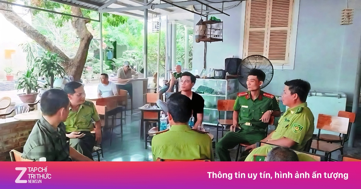 Vì sao kiểm lâm yêu cầu chứng minh nguồn gốc chim cảnh tại quán cafe