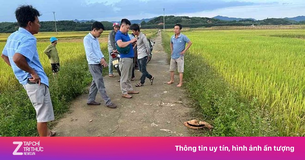 Cụ bà bị sét đánh tử vong ngoài đồng
