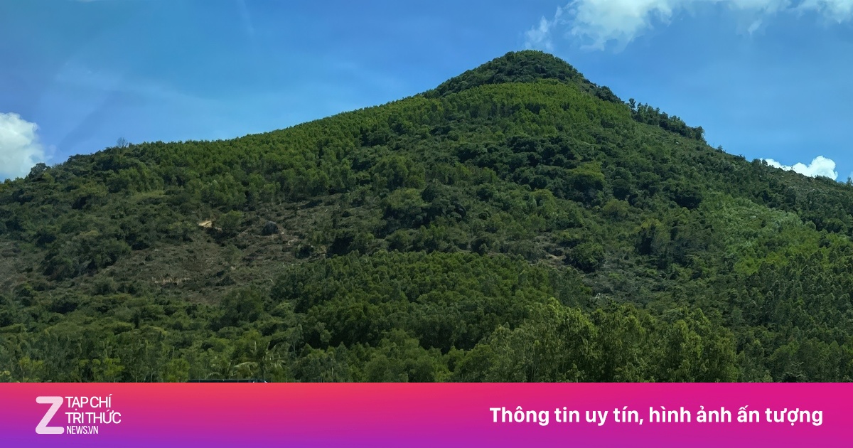 Quảng Ngãi sẵn sàng đón nguyên Chủ tịch nước Trần Đức Lương về đất mẹ