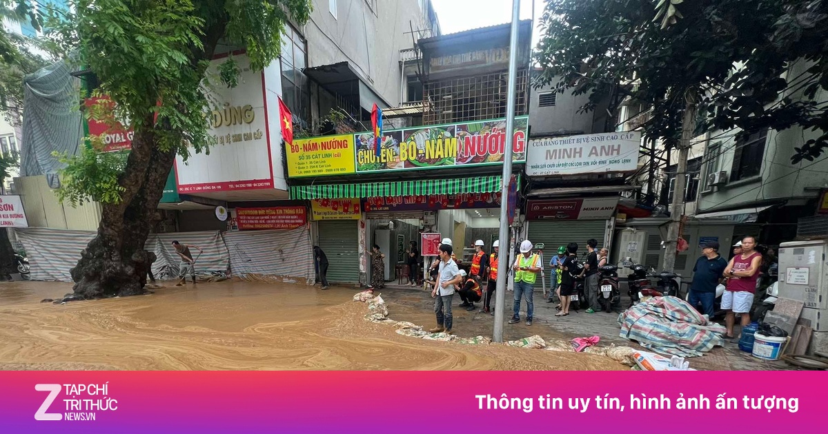 znews.vn