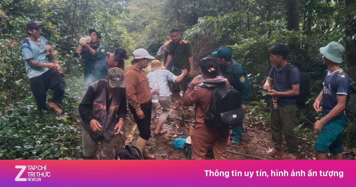 Đi rừng tìm mật ong, tá hỏa phát hiện hài cốt người trong lán trại