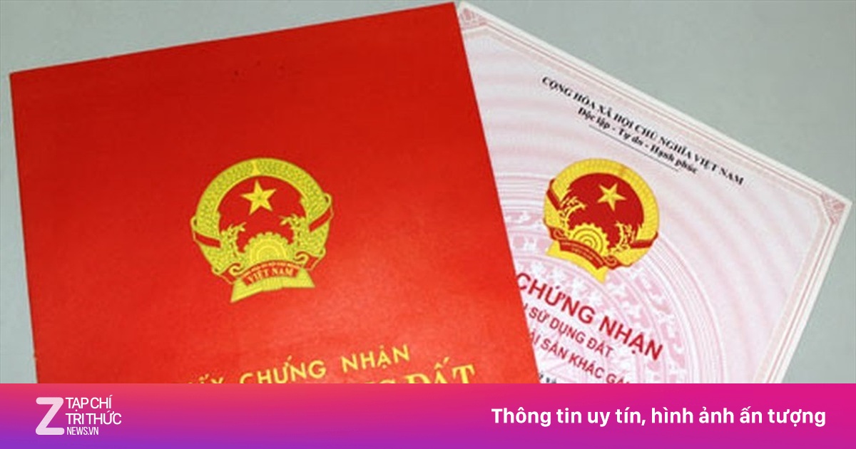 Sổ đỏ hộ gia đình, con dâu góp tiền sửa nhà có được chia thừa kế?