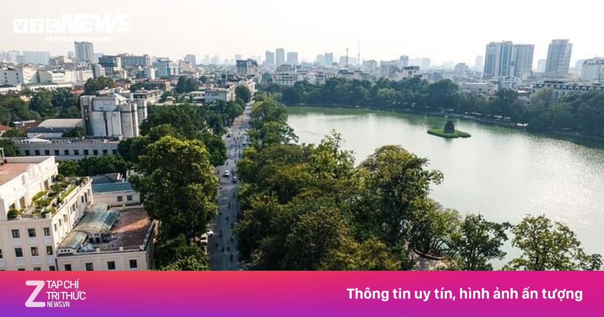 znews.vn