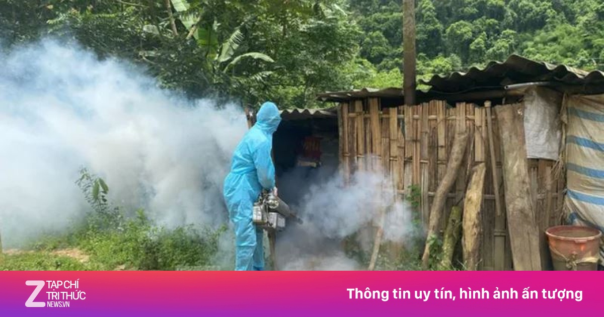 Công bố dịch tả lợn châu Phi tại tỉnh Lạng Sơn