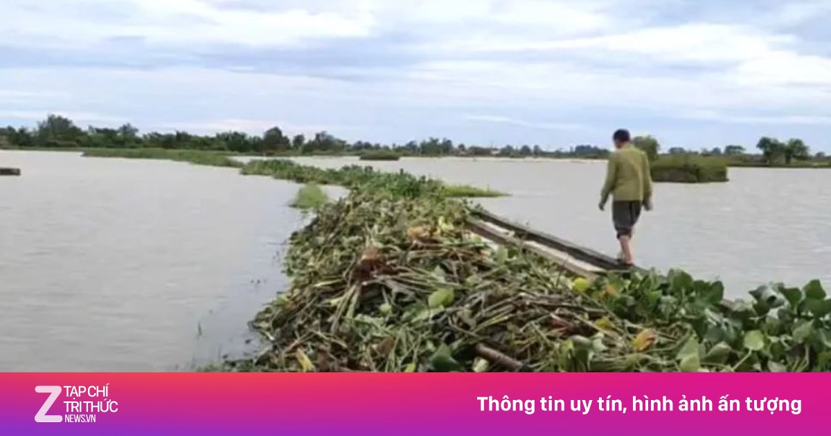 Đi tìm vịt trên đồng, người đàn ông ở Quảng Trị chết đuối