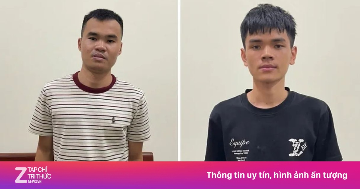 Bắt hai đối tượng gây hàng loạt vụ cướp giật tài sản trong đêm
