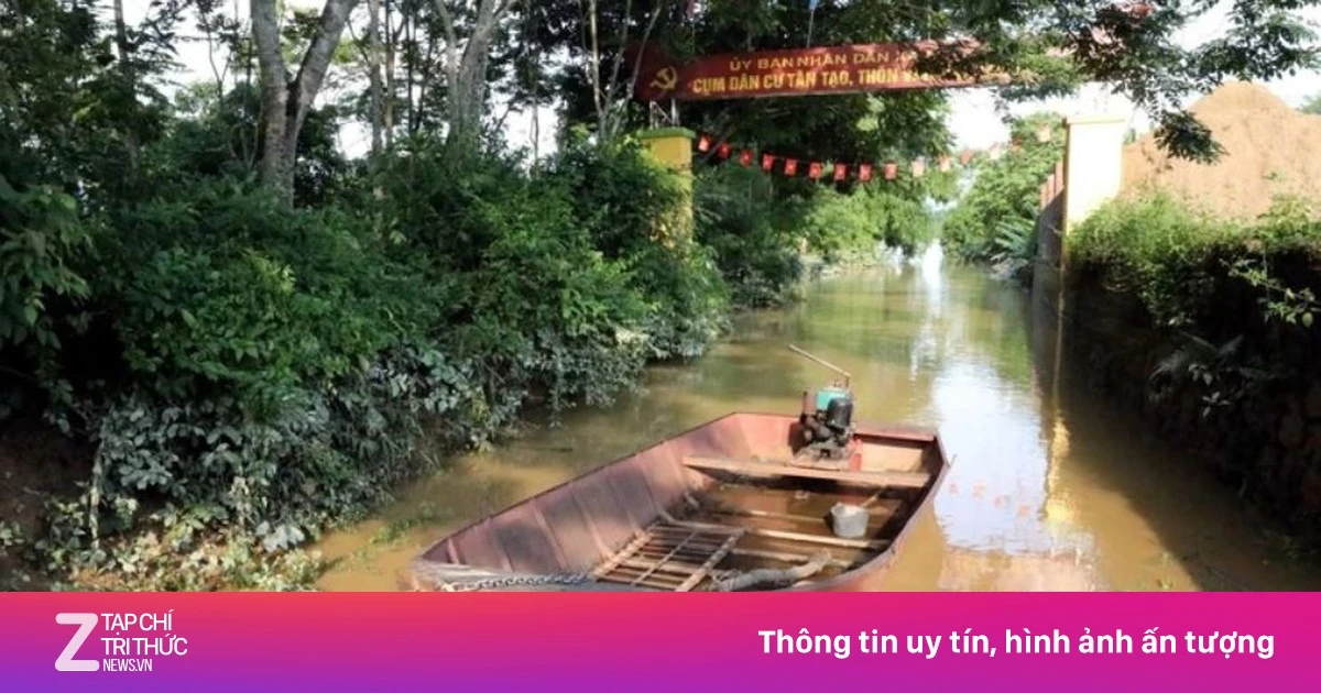Hai bố con rơi xuống sông mất tích