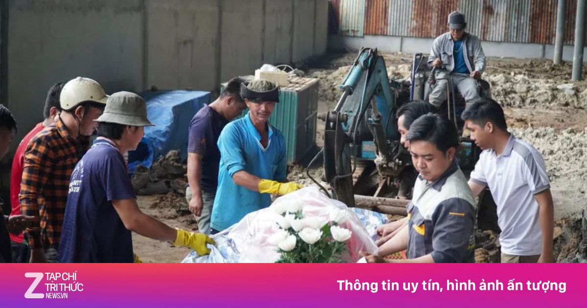 Cá heo bơi lạc vào sông ở Cà Mau đã chết