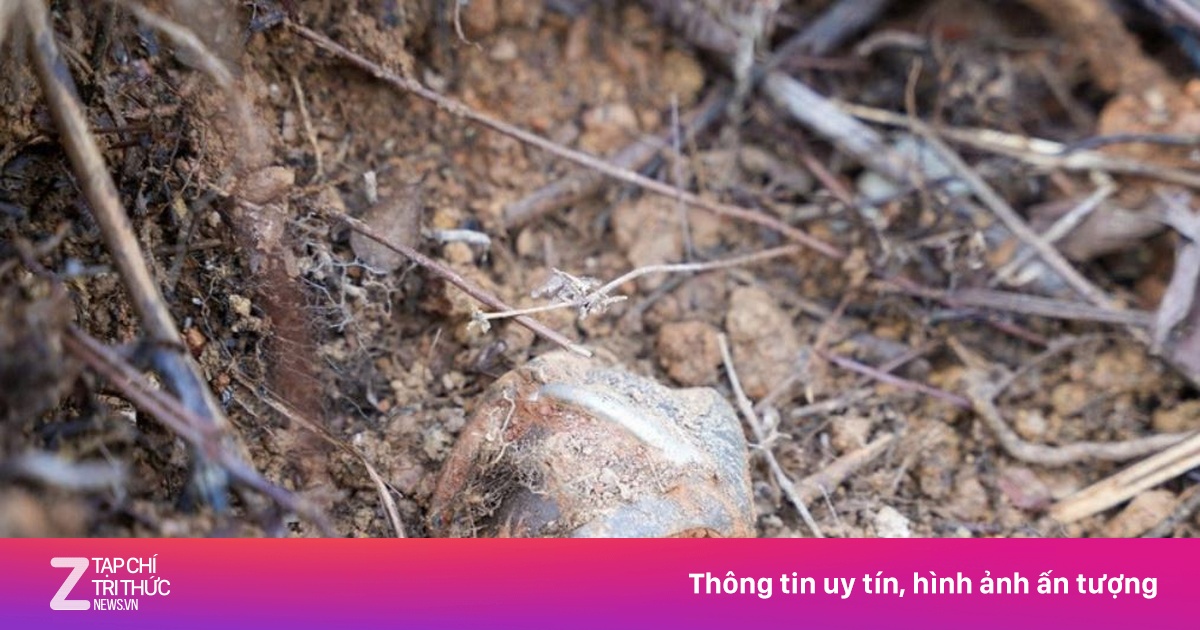 Xử lý 3 quả bom chùm nguy hiểm trong khu vực dân cư