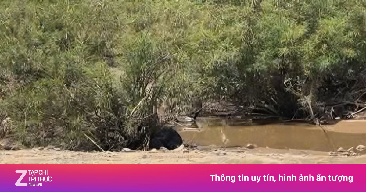 Thi thể người phụ nữ bị lũ cuốn ở Quảng Nam trôi xa 12 km