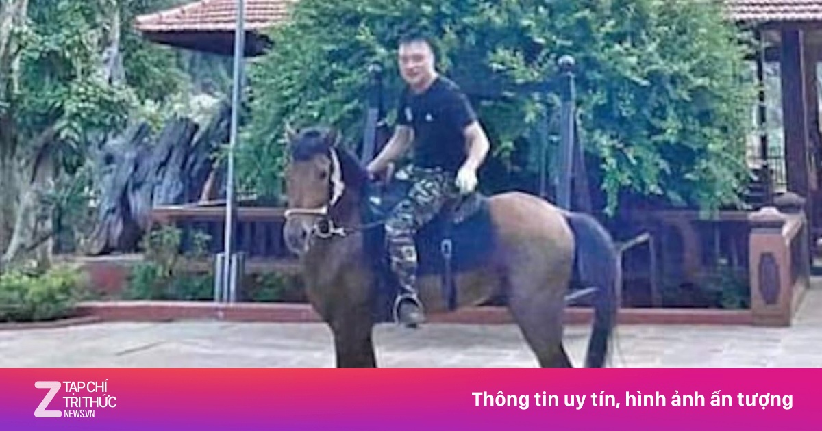 Vi 'ngộ' - từ kẻ có bệnh án tâm thần đến ông trùm thế giới ngầm