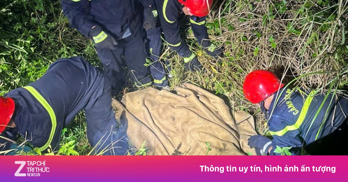 Tin mới vụ du khách rơi khỏi dù lượn tử vong ở Đà Nẵng