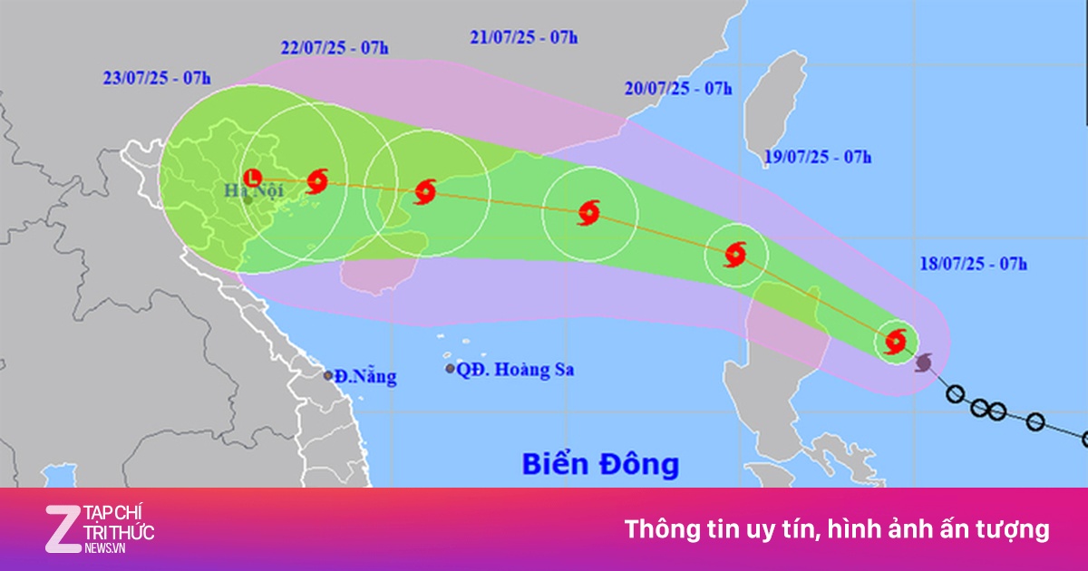 znews.vn