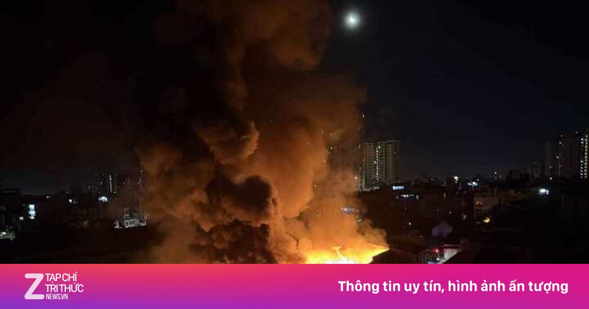znews.vn