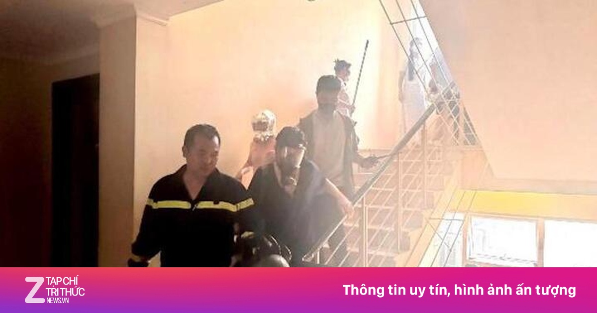 znews.vn