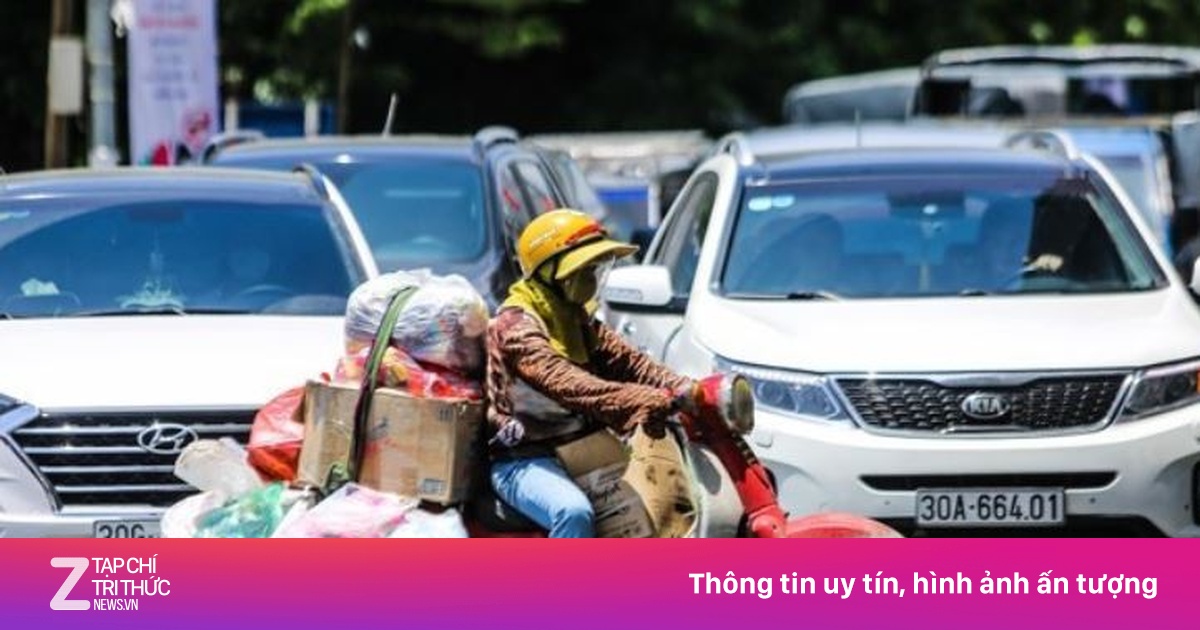 znews.vn