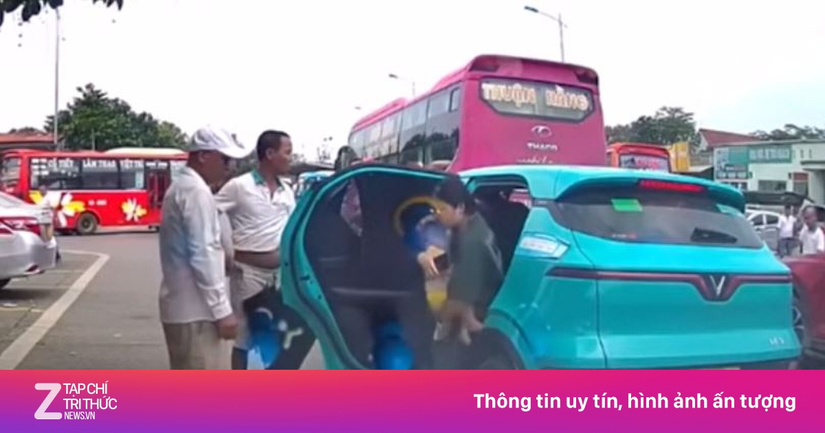 znews.vn