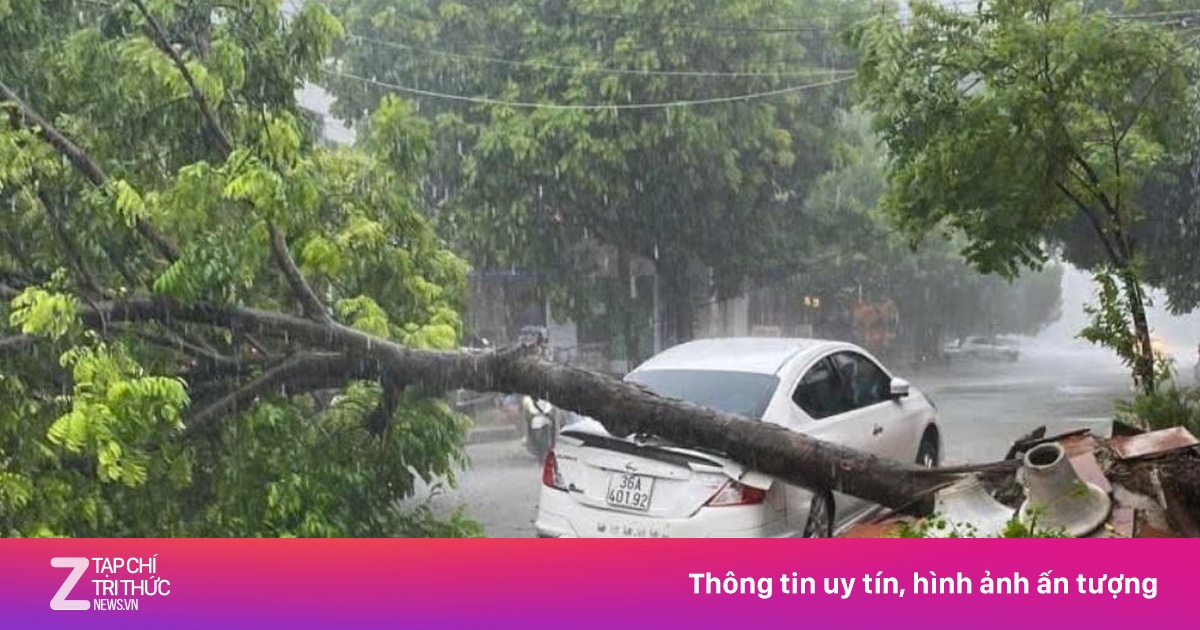 Cây bật gốc, gãy đổ la liệt trên phố ở Thanh Hóa do bão số 5